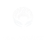 UEFA Logo background remover